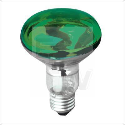G016QN R080 REFLECTOR LAMP ES 60WREPLACEMENT COLOU